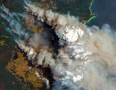 Выйти на внешние рынки. Кто и как помогает бизнесу работать за рубежом