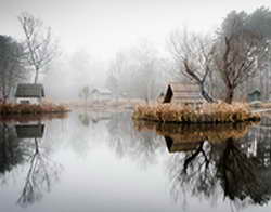 Дегтярёв ведёт Россию к выходу из профессионального спорта
