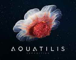 Apple меняет руководство: Тим Кук уходит с поста CEO, новым главой с сентября станет Джон Тернус