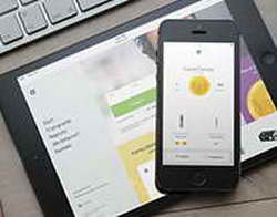 Дачный туалет благоухает чистотой: посадила рядом с ним умные растения с жадными конями  работают не хуже септика