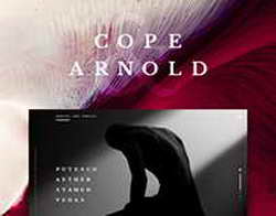 Не только уникальный форм-фактор, но и рекордная яркость. Huawei Pura X Max получит экран с с ультратонким стеклом UTG